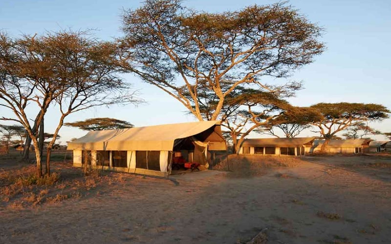 11 Day East African Wildebeest Migration Extravaganza The Safari Collection